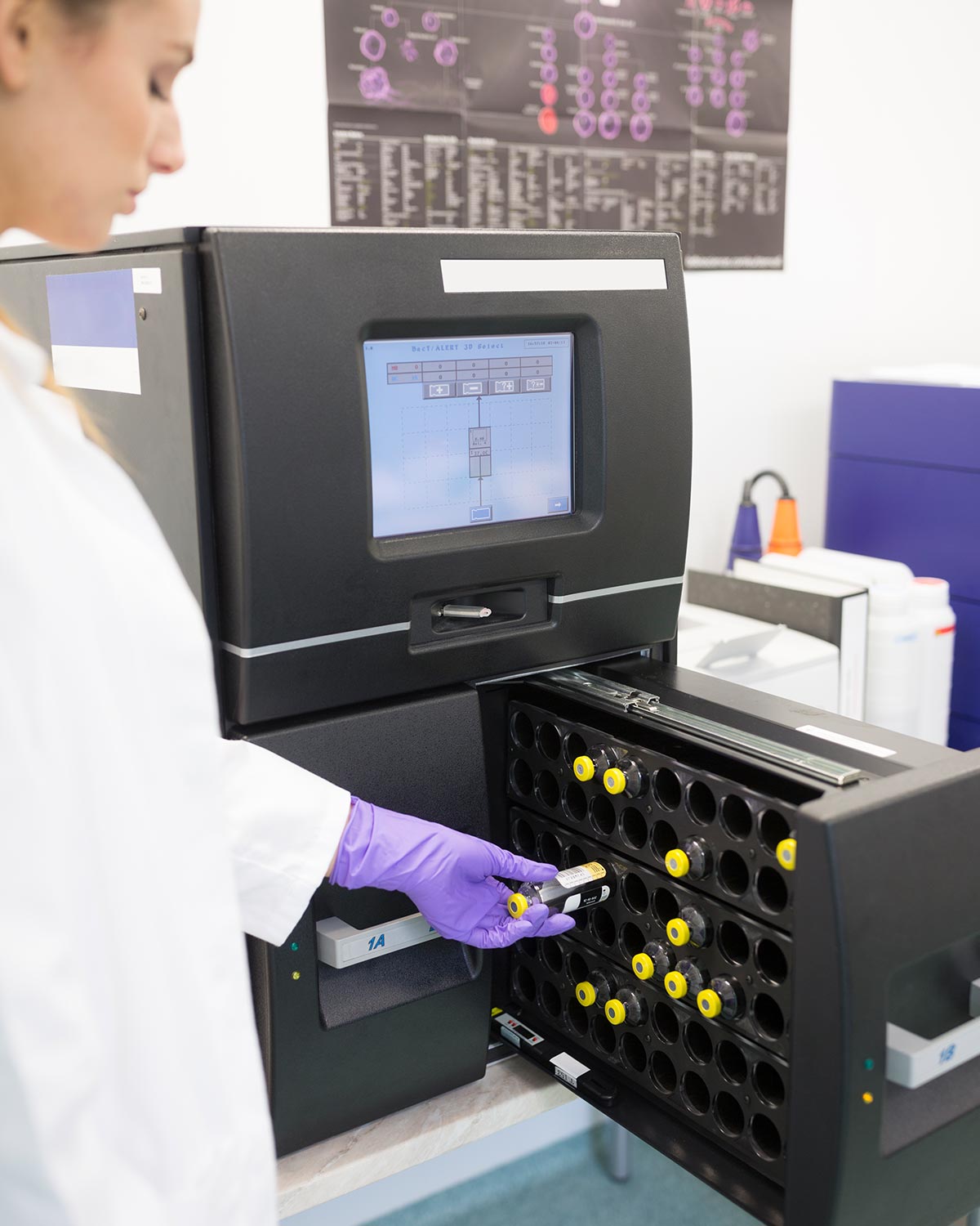 BioComputing workflow from data to biological insights